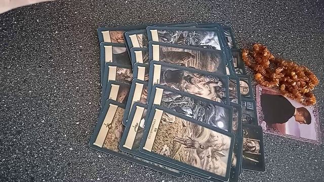VID_20250618_133555.mp4