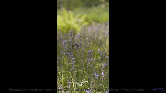 Видео, которое можно полностью понять только в 5D - попробуйте! - Care -- Vincent Augustus -- Nightl