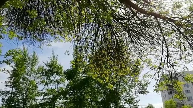 Я хочу быть гармоничной