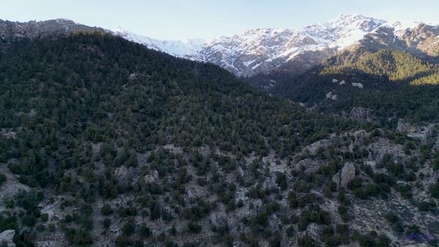 Кадры природы, которые выглядят как фантастика! - A Mile or more in a Foreign Clime -- 10 Echo -- Un