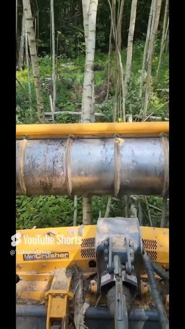 Убрать джунгли за два прохода можно только ротоватором 89261385927 #мульчер #ротоватор #джунгли #мт