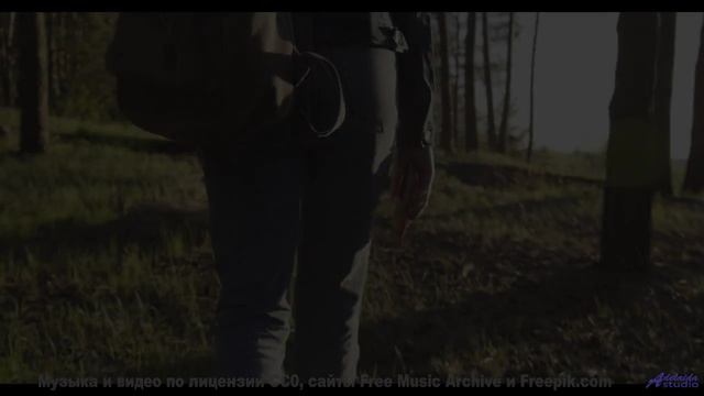 Мелодии, которые звучат громче, когда их слушаешь в объятиях у гор - Makes-Shift Salvation -- Holizn