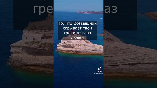 VID-20250617-WA0557