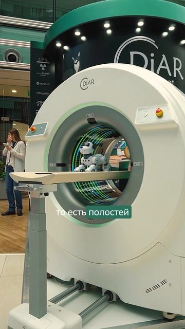 Мультисрезовый ветеринарный томограф DiAR-CT64 VET - программное обеспечение ч.2 #ветеринария