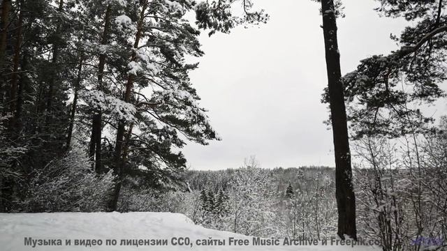 Ты будешь благодарить меня за то, что показал тебе это! - Bound To Another World -- Kirk Osamayo --