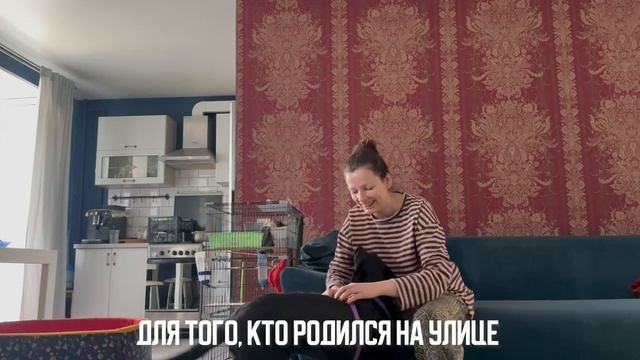 Такая добрая и важная история от нашего директора!