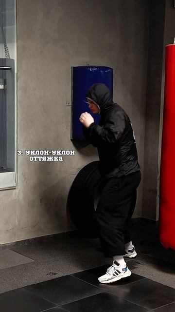 8316470168241.mp4