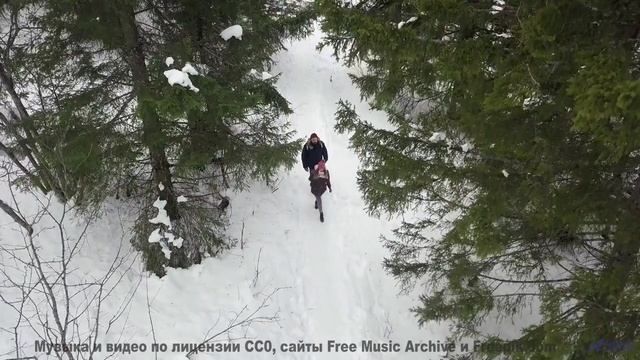 Мелодия, которую слышно только в полночь. - Forest Friends -- Ketsa -- Light Rising