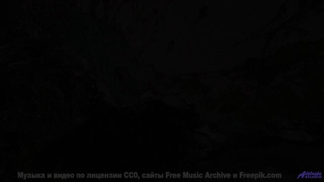 Лес оживает под этот бит! - Solanas Sisters -- Big Quiet -- Live at Monty Hall, 9152017