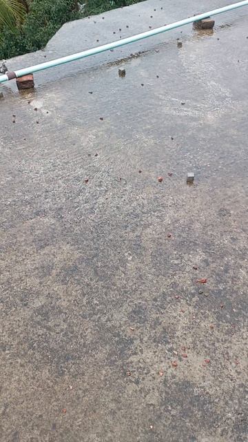 VID_20250618_113813