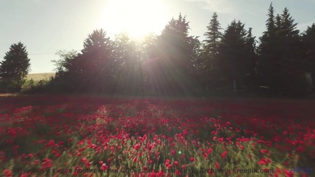 Почувствуйте, как стресс растворяется под этот саундтрек! - Sunnyside -- Ketsa -- Bedding