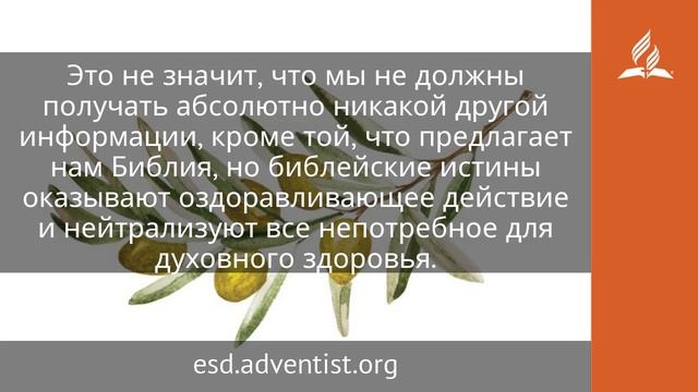 18 июня 2025. Словесное молоко. Под сенью благодати | Адвентисты