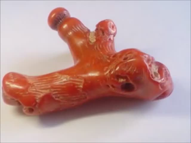 Натуральные кораллы. Красный, голубой коралл и коралл хризантема
