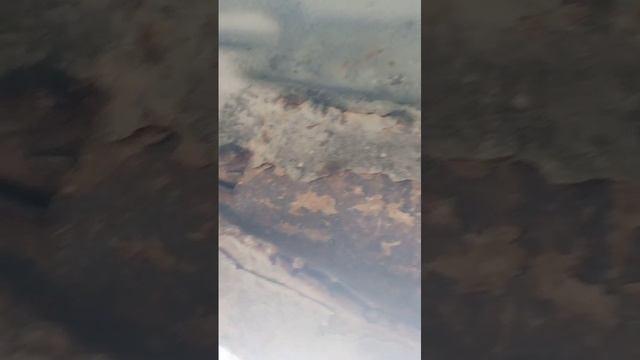 1000043551.mp4
