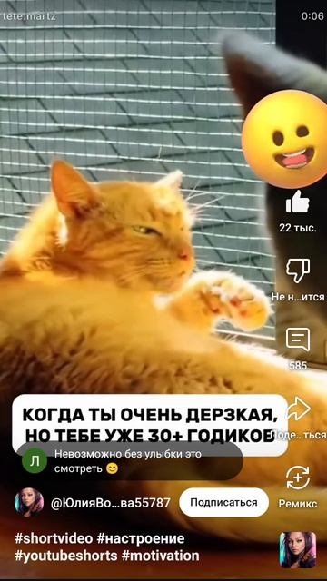 😾😹