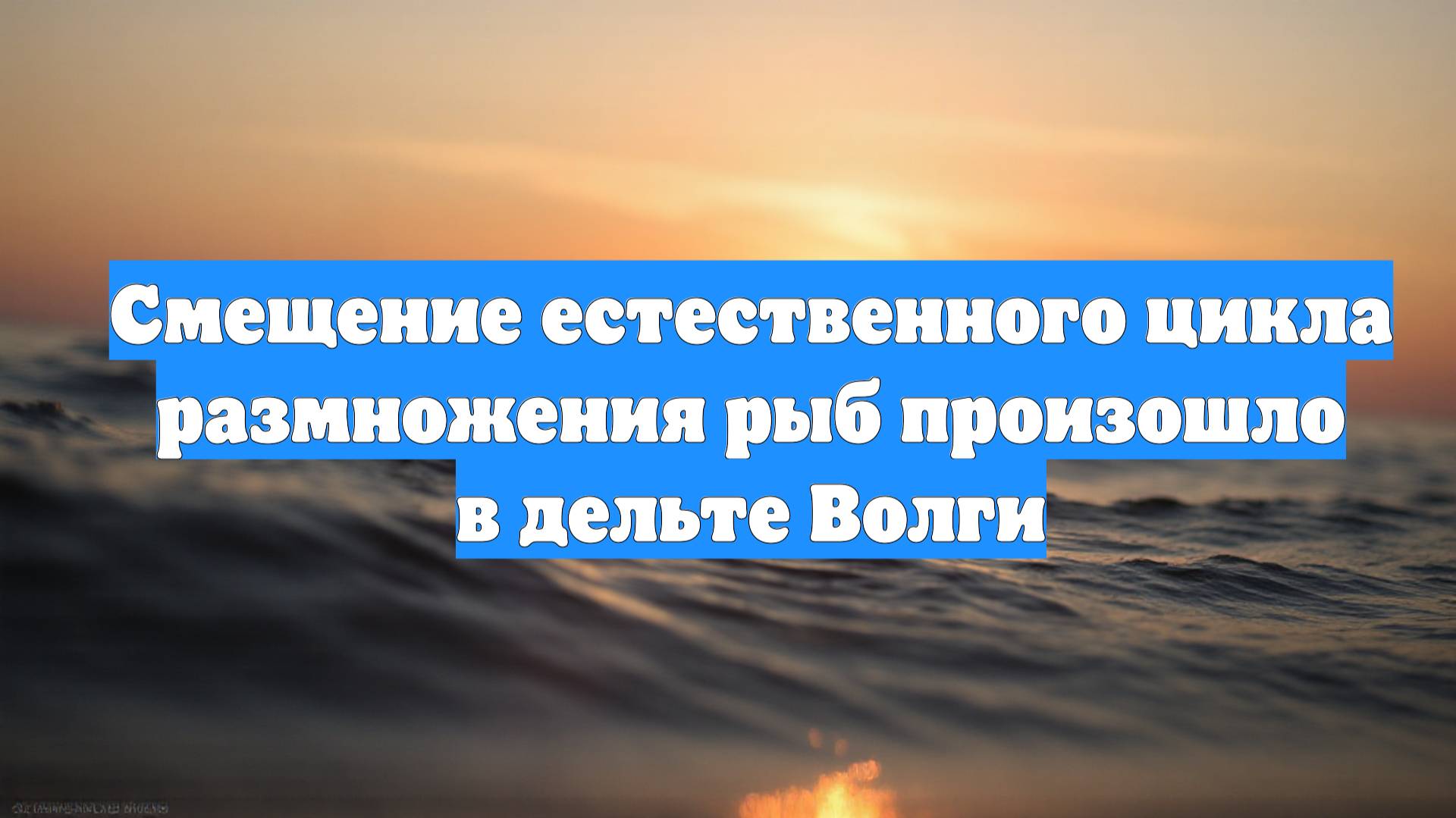 Смещение естественного цикла размножения рыб произошло в дельте Волги