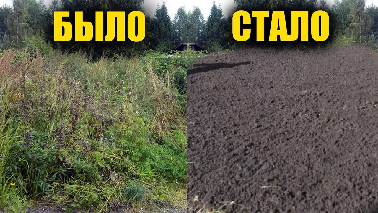 Любые сорняки исчезнут за 1 минуту навсегда! Рабочий способ как избавиться от сорняков без хлопот