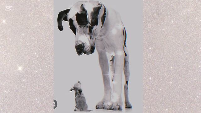 Что делать, чтобы служить поиску Истины? Великие и мелкие дела! Что спасительно?