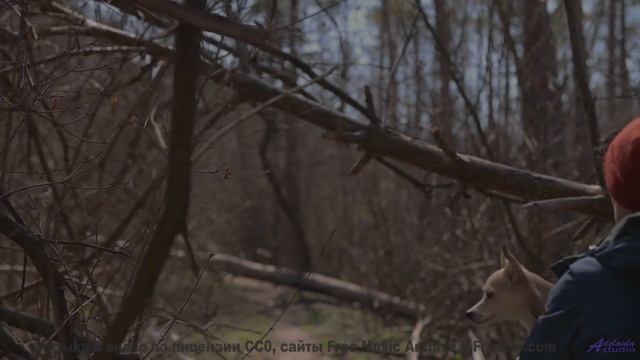 Ты НЕ ПОВЕРИШЬ, что это не CGI! - Sunshine-Send-Off -- Ketsa -- Ascendance