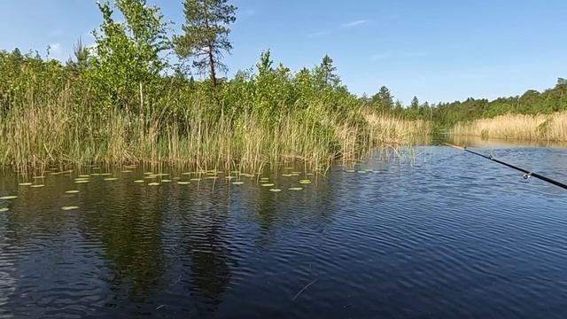 Я всё таки нашëл реку. Обкатка нового мотора.