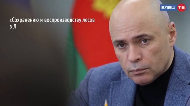 В Липецкой области станет больше  дубовых рощ и лесов