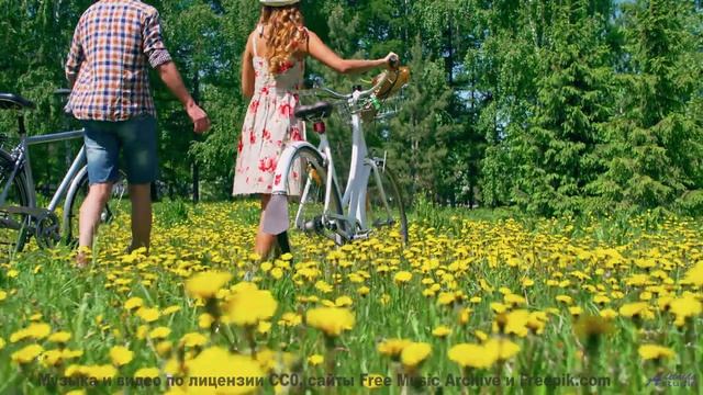 Леса открываются вместе с каждой новой нотой - Dont Forget To Live -- HoliznaCC0 -- Left Overs