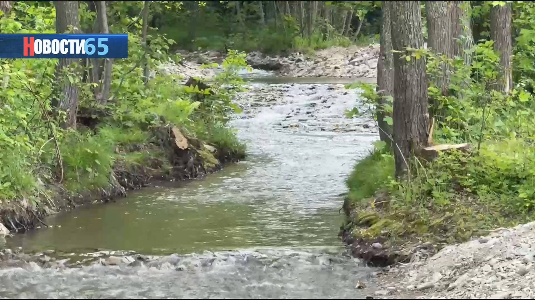 Прогулки у воды. В Южно-Сахалинске приводят в порядок береговую зону вдоль реки Еланька