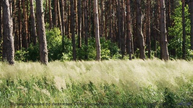 Музыка, которая делает каждый поворот маршрута поцелуем судьбы - 9 to 5 -- SUPERARE -- I