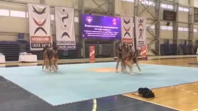 Чир-спорт. PROJECT