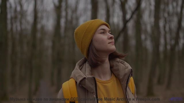 Сердце выскакивает, когда поля оживают вместе с музыкой - Chased by Ketsa feat Soularflair -- Ketsa