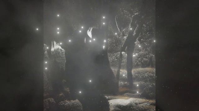✵K.K.D✵ - Forest of Shadows - Elf's Love