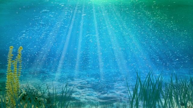 Красота под водой ч31