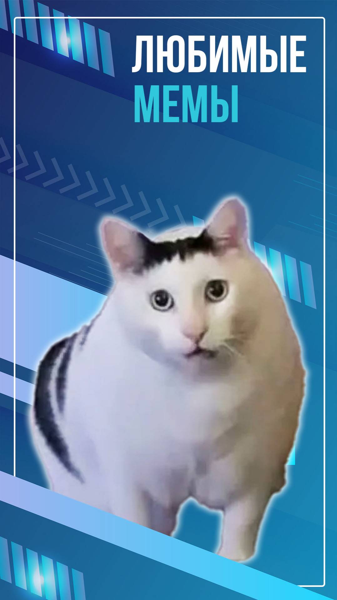 Любимые мемы
