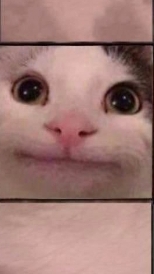 scene_output.mp4