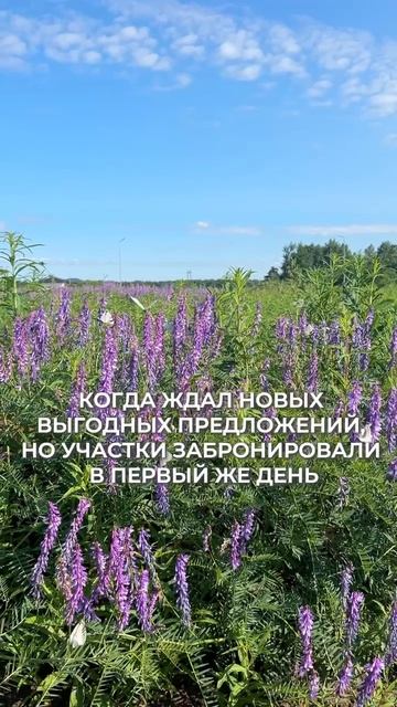 Чтобы этого не произошло: