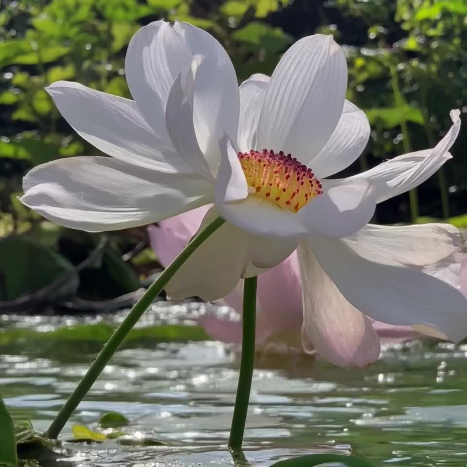 Создание качественного контента — это искусство, которое может изменить ваше присутствие в социал...