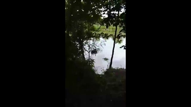 Место рыбалки река Медведица