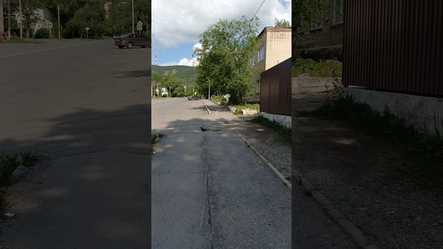 Мысли