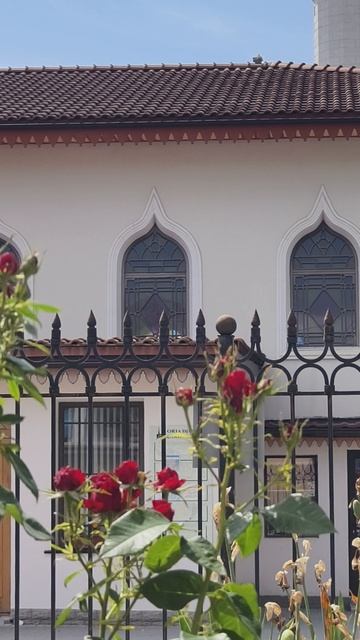 Bağçasaray 🌷