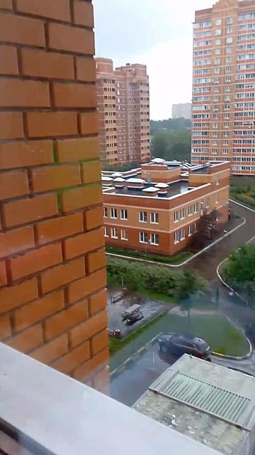 1000018568.mp4