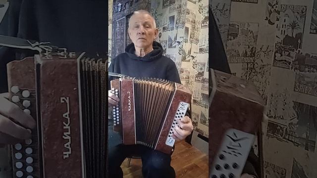 Гармонь чайка 2. исправная. от мастерской.