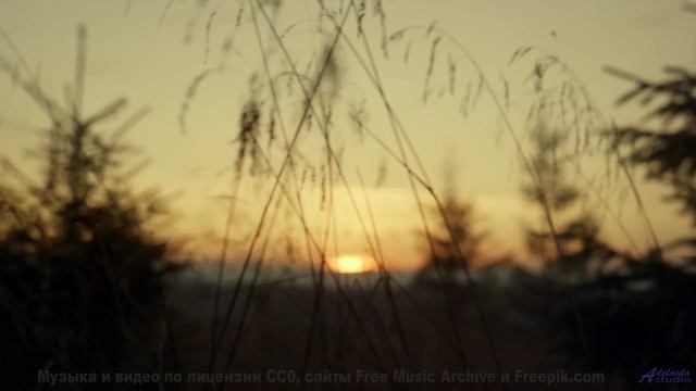 Поля под такой музыкой заставляют забыть про время - Acoustic Indie Folk -- Scott Holmes Music -- In