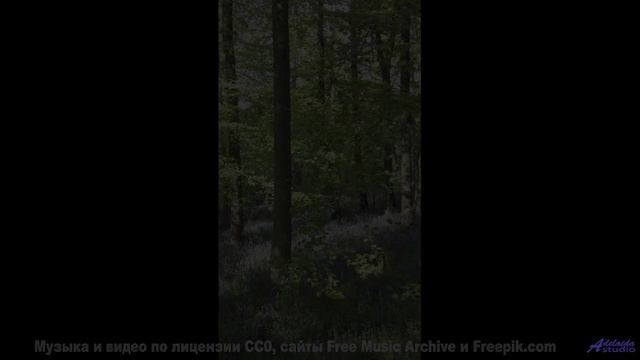 Это видео докажет, что природа лучше любого фильма - Workaholic -- Tadz -- 2020