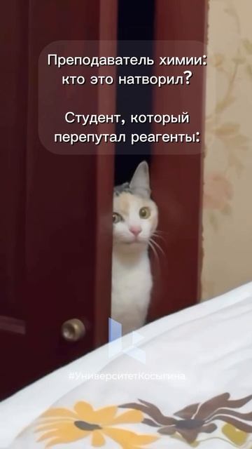 И такое бывает.. 🤭