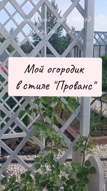 Огород в стиле "Прованс"