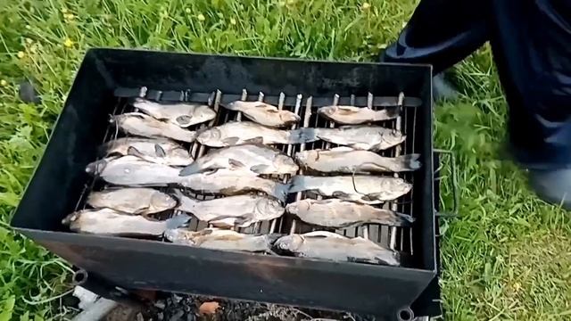 Копчение ЛИНЯ в деревне