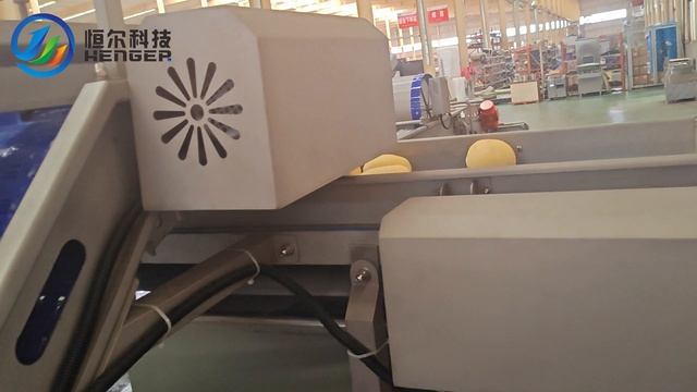 Линия для мойки, чистки и нарезки картофеля от HENGER Россия