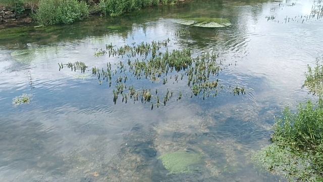Байбери (Бибери), Котсволдс, Англия (Bibury, Cotswolds, England)