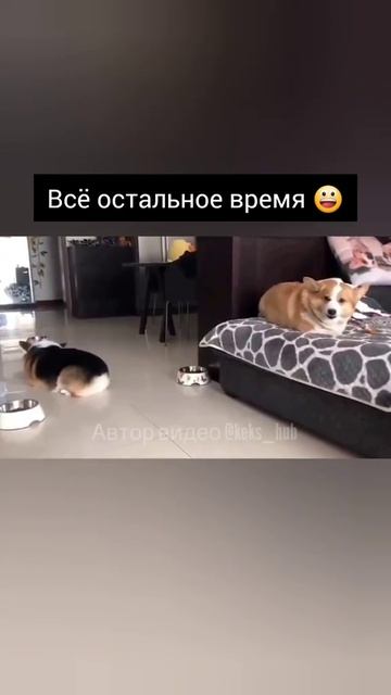 сестрёнки 2🤣🤣🤣