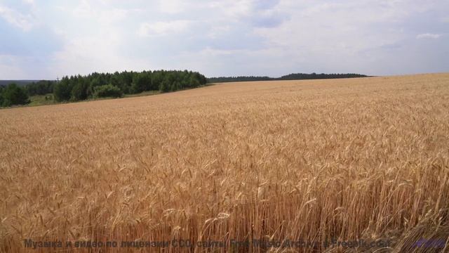 Почему этот клип запрещают в некоторых странах Смотрите сами! - Making It Right -- Derek Clegg -- Th